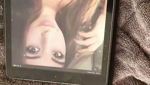 haraç