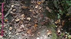 Μικρός περίπατος στο δάσος με νάιλον