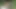 Yeşil çimenlerde çıplak yalnız azgın Emily 4k'da eğleniyor.
