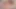 Poppy Pleasure, Blu Chanelle ve Tahlia Lane'in dörtlü seksi