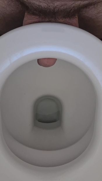Schwanzstrafe mit toilette