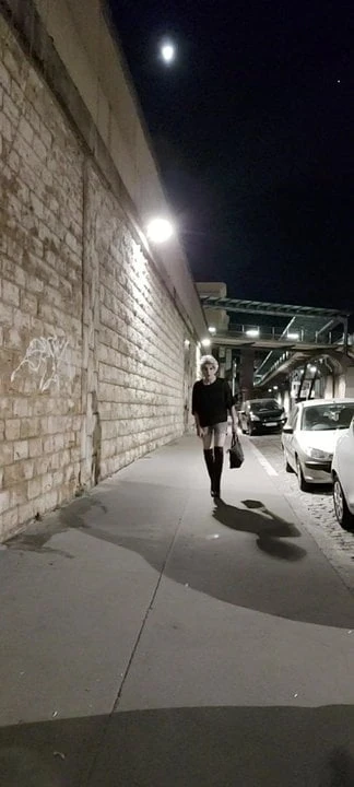 La pute