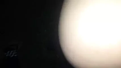 在公园里操一个放荡的屁股