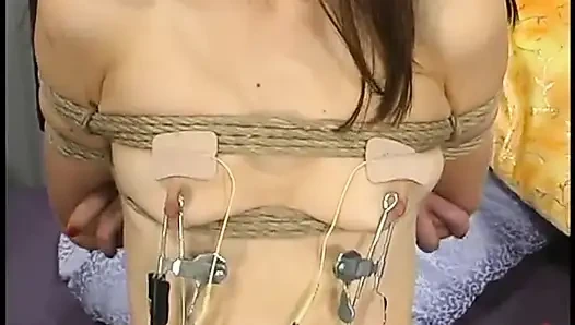 Eva Lux