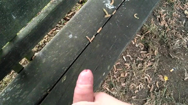 Paja ene l banco del parque