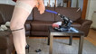 Video pregled
