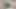 Smallest penis in the world - Micro penis - Tiny Dick
