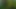 Jerking off naked in a public park