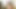 Jenny Mcclain in bikini