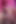 Bibi noel, cherry torn, nikki sexx ve vicki chase all-girl pijama partisinde pis ahlaksız yollarını sergilerler