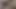 家で楽しんで