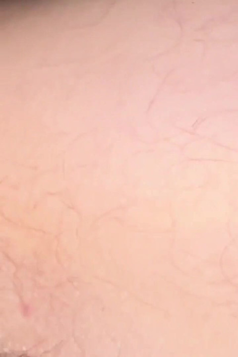 ベアバック・ファン