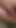 Thrilling moment from "HUGE Cock Futa Cum Flying Compilation"