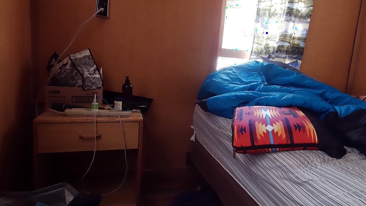 Doggy Interrupted