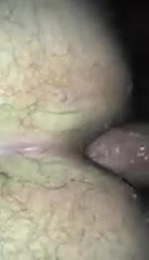 新しい相棒