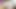 webcamshow huge cumshot 13042020 #35