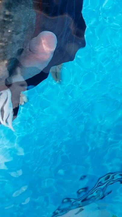 Pool satisfaction