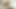 Masturbating my ass prolapsing a little amateur