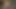 Genç kız ırklararası ev yapımı sikiş