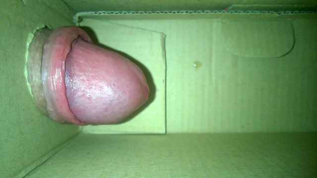 Masturbation whit box