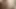 XXXXL