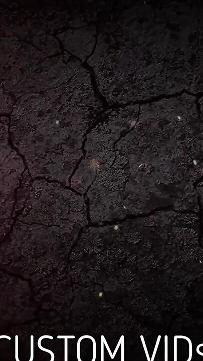 Разтягаме и разширяваме косматия анал на зряла жена. Много мръсен анал на гореща кучка стене, аналната й тайна е смазана. | Клип 1