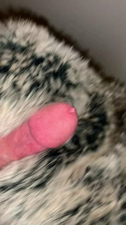 Fur vest fun