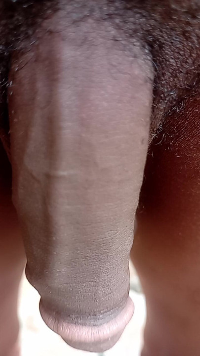 The dick is introducing itself