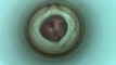 Pregled videozapisa