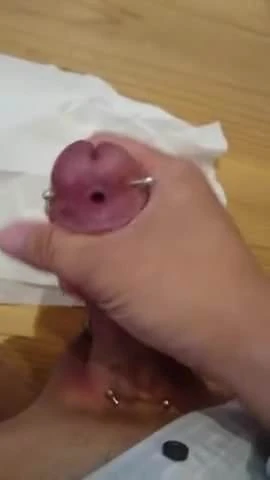 pierced cock
