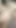 Tavşan gibi mi görünüyorum? Bu yeni kıyafeti seviyorsan bana haber ver! Bir sürü daha var! Seksi görünüyor mu? | Klip 1
