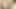 Sexy Horny Viral Tiktok model Rides on My Cock