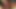 ペニスをしゃぶる飢えたヨーロッパ人痴女