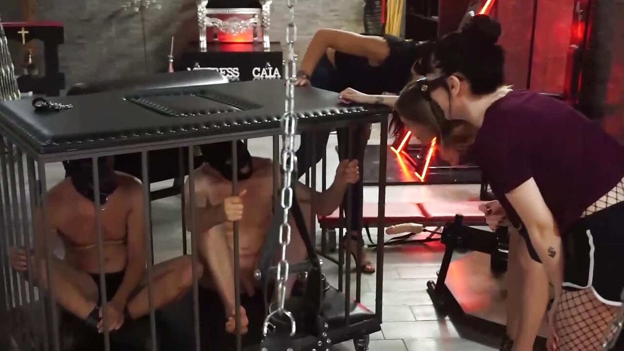 노예를 처벌하고 싶어하는 세 명의 펨돔 소녀