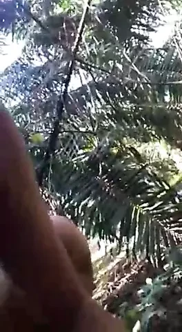 Fuck in jungle