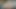Brunette Baby Doll sucks a hard cock before sex,in VR.