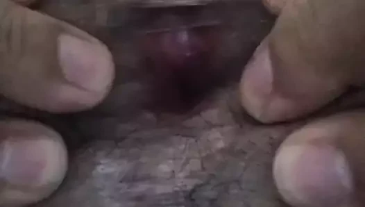 Mi horto