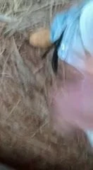 matagual