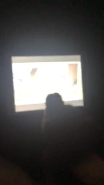 Ex Cum Tribute