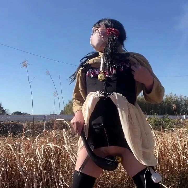 Self-training No. 97: Outdoor Peeing and Tacky Pussy Exposure Collection