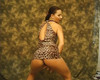 Pregled videozapisa