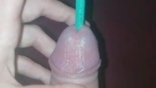 penis içinde kalem