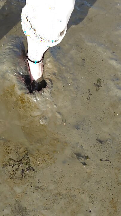 Short Test in the Mudflats on the Beach of Horumersiel
