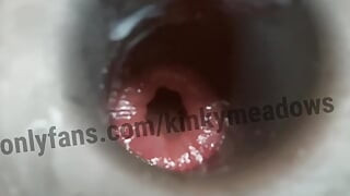 Hollow Anal Plug Training