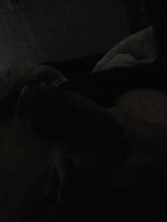 Me shaking my cock