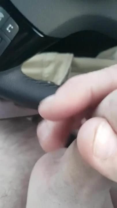 Car Wanking