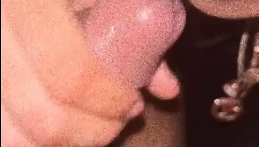 Arabada Şanslı Olmak