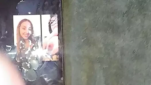 Leda cumtribute