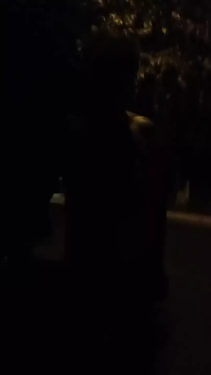 Nude walk on the street
