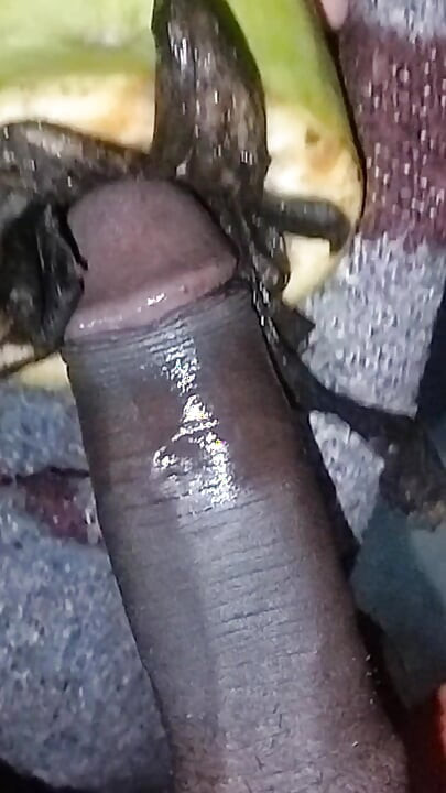 Big Desi Cock 15inch Big indian panis